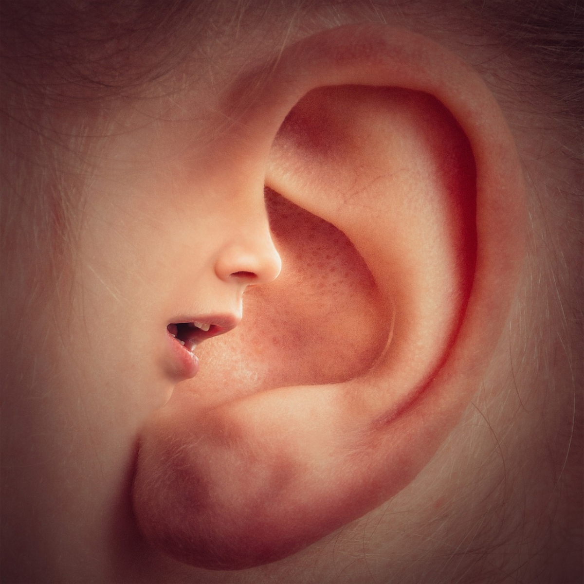 ear-3971050_1280