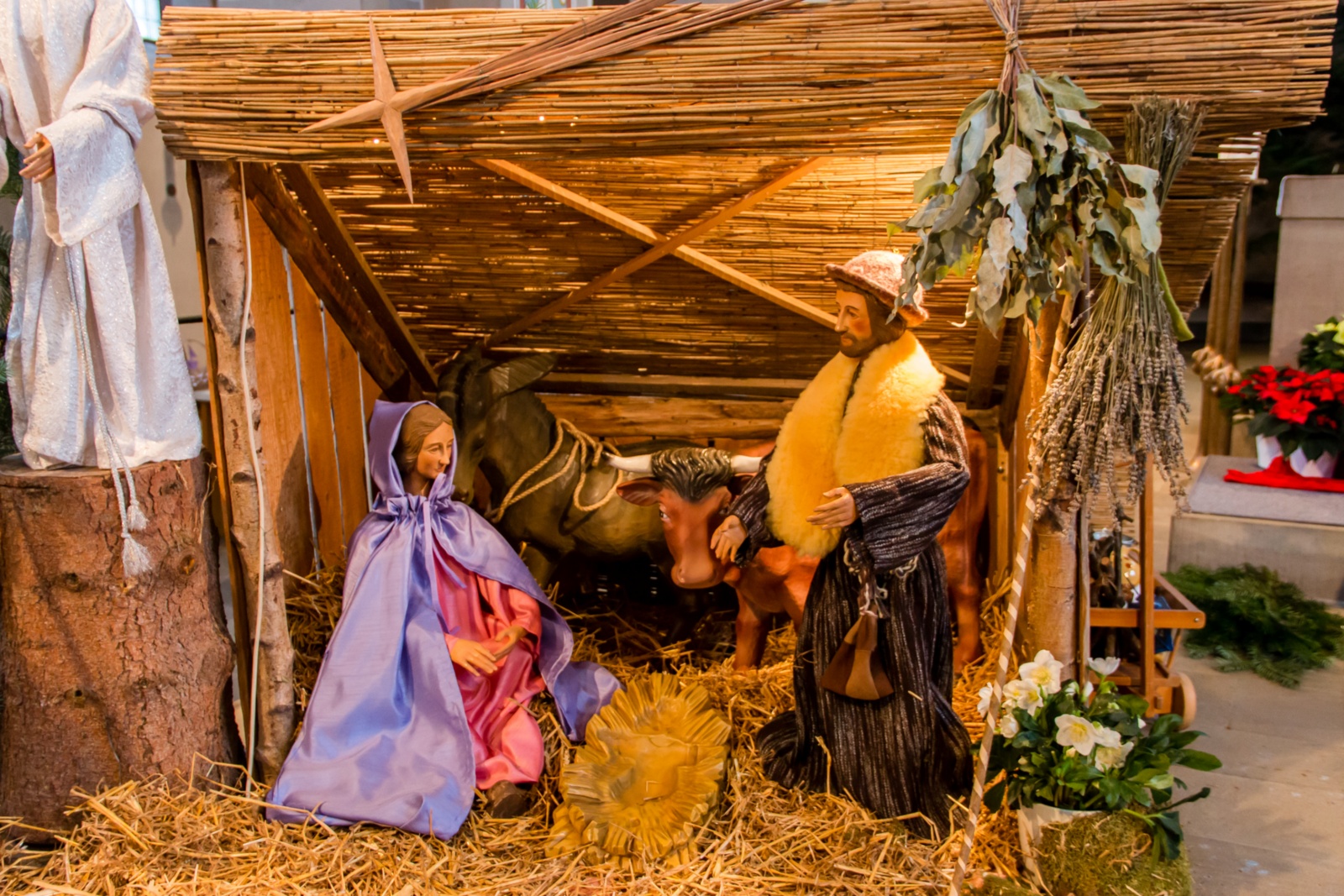 2016-12-23 _Krippe 2016 012