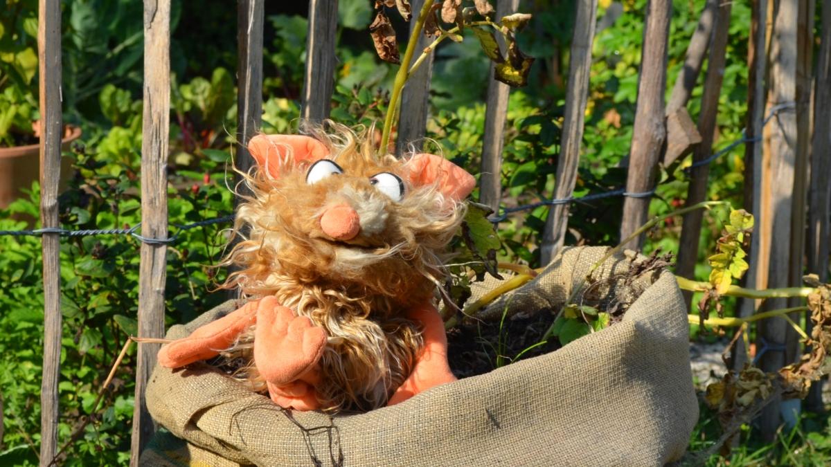 Kartoffelaktion 2020 der Messdiener von Sankt Katharina