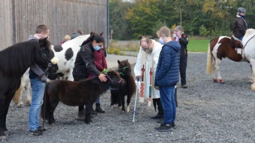 2020-10-18_Tiersegnung 2020 02