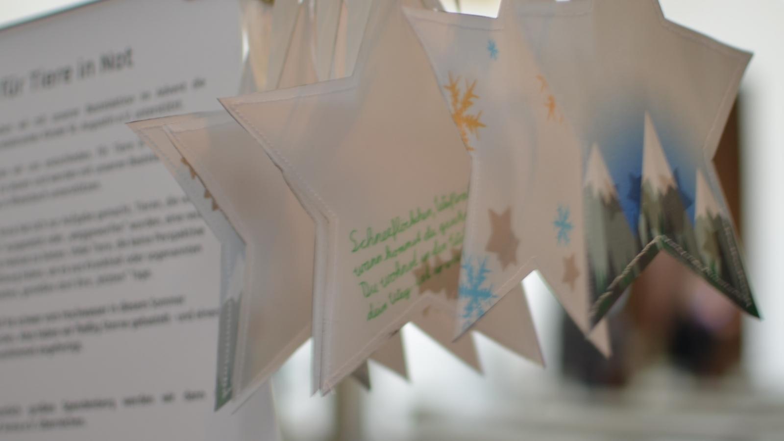 Sterne für Tiere in Not