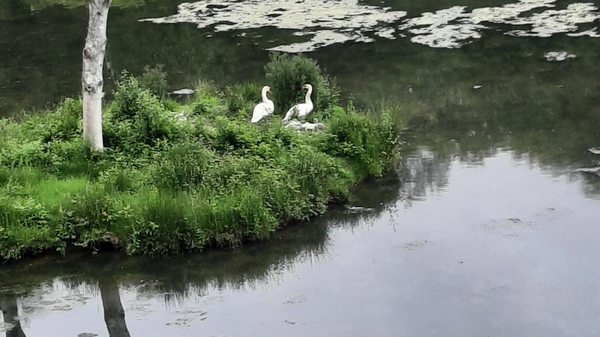 2024-07-01_Halbzeit Jahresmotto OA Liebfrauen 01