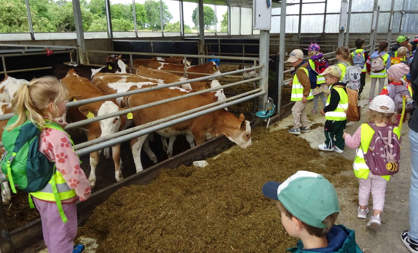 2025-07-11_Ausflug-zum-Milchhof-Klein