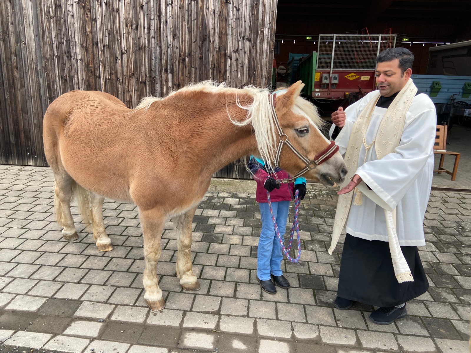 2025-10-26-Tiersegnung-10
