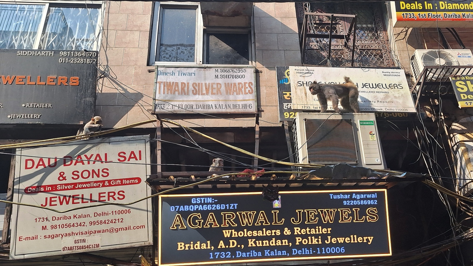 2026-01-22 Indien 049 Delhi Altstadt