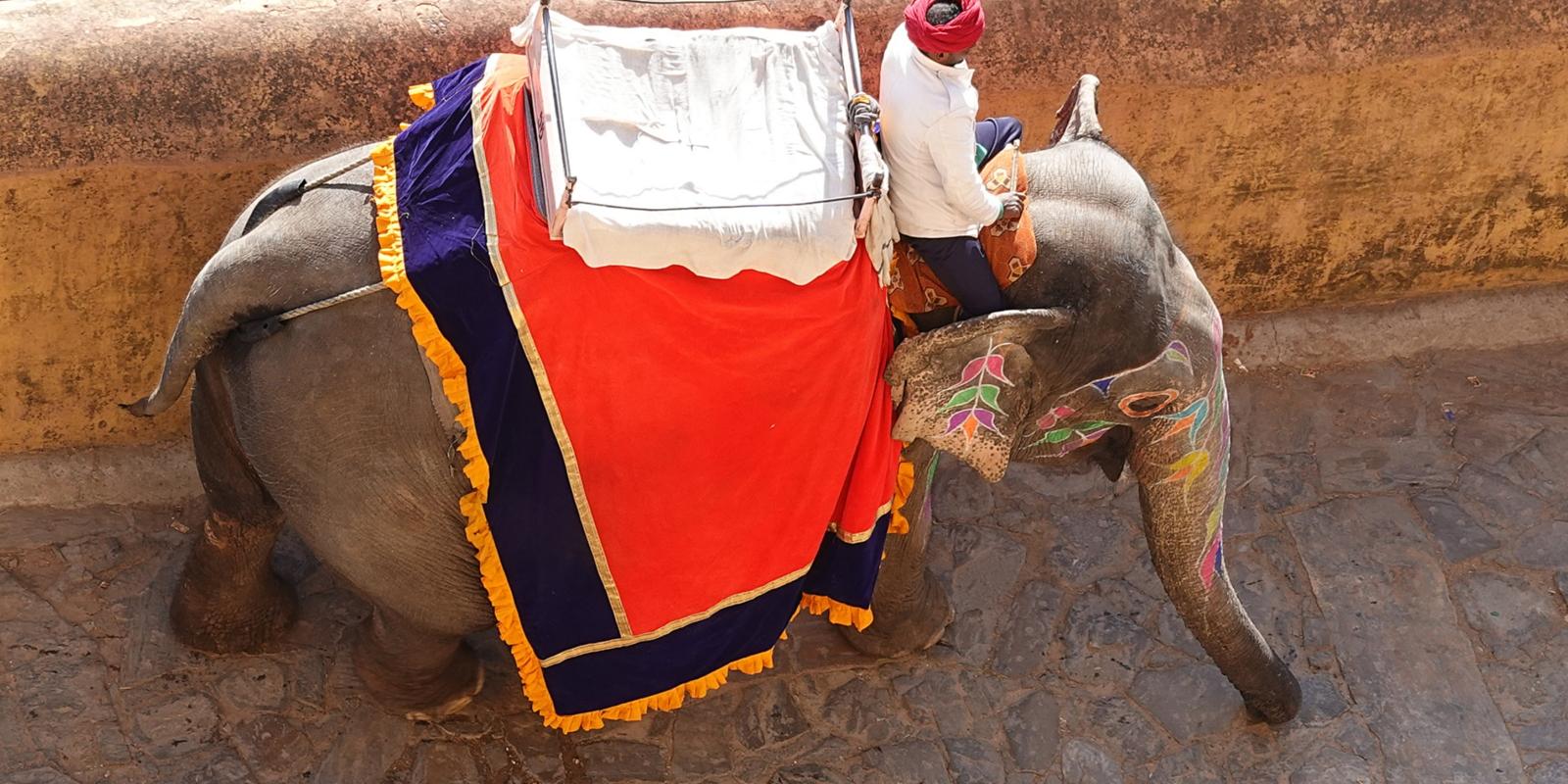 2026-01-25 Indien 051 Fort Amber 16 Jh