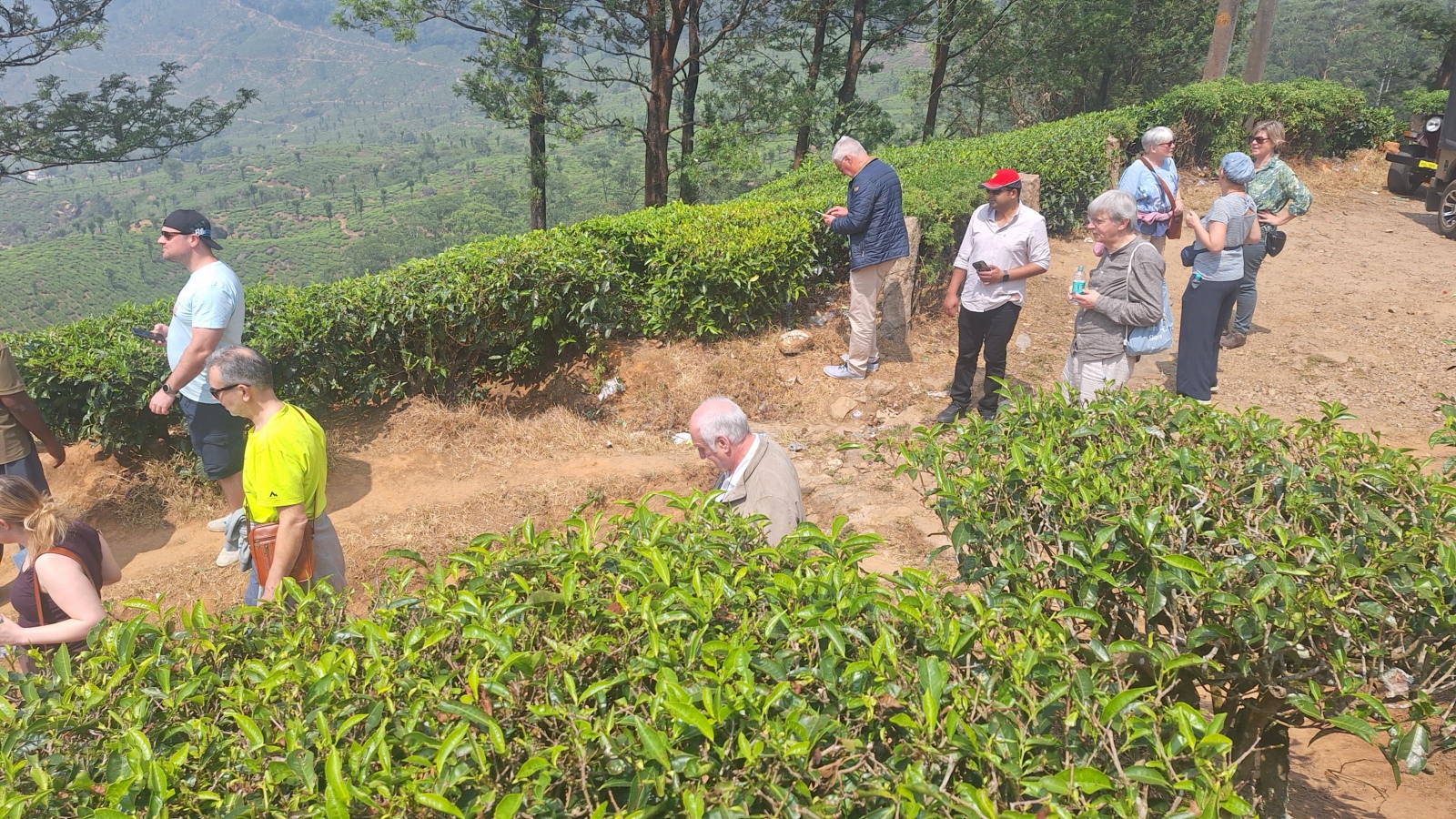 2026-01-29 Indien 040 Munnar