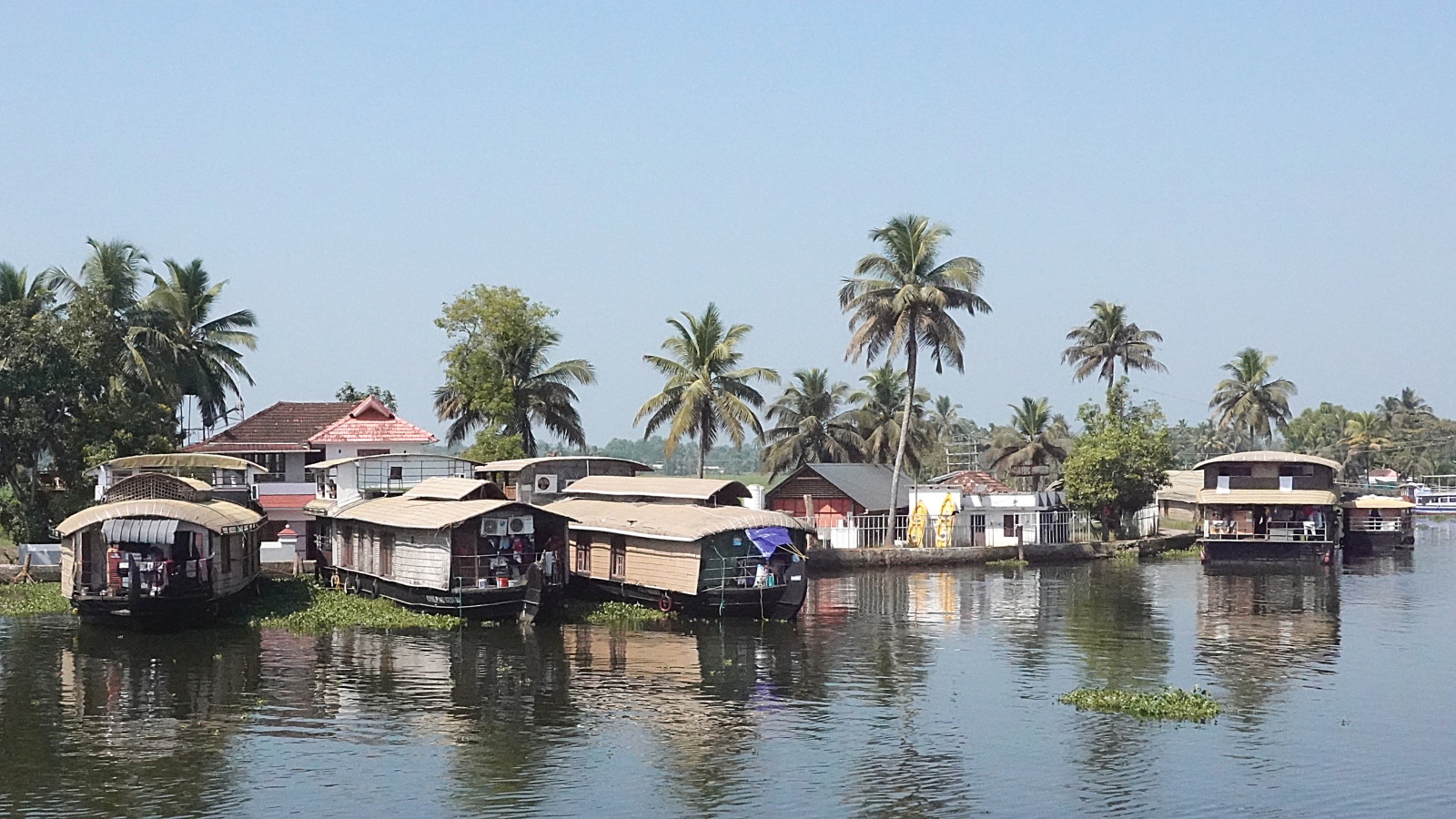 2026-02-01 Indien 010 Backwater in Kerala