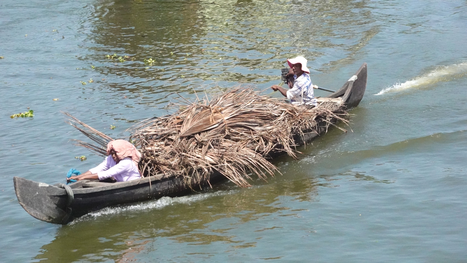 2026-02-01 Indien 022 Backwater in Kerala