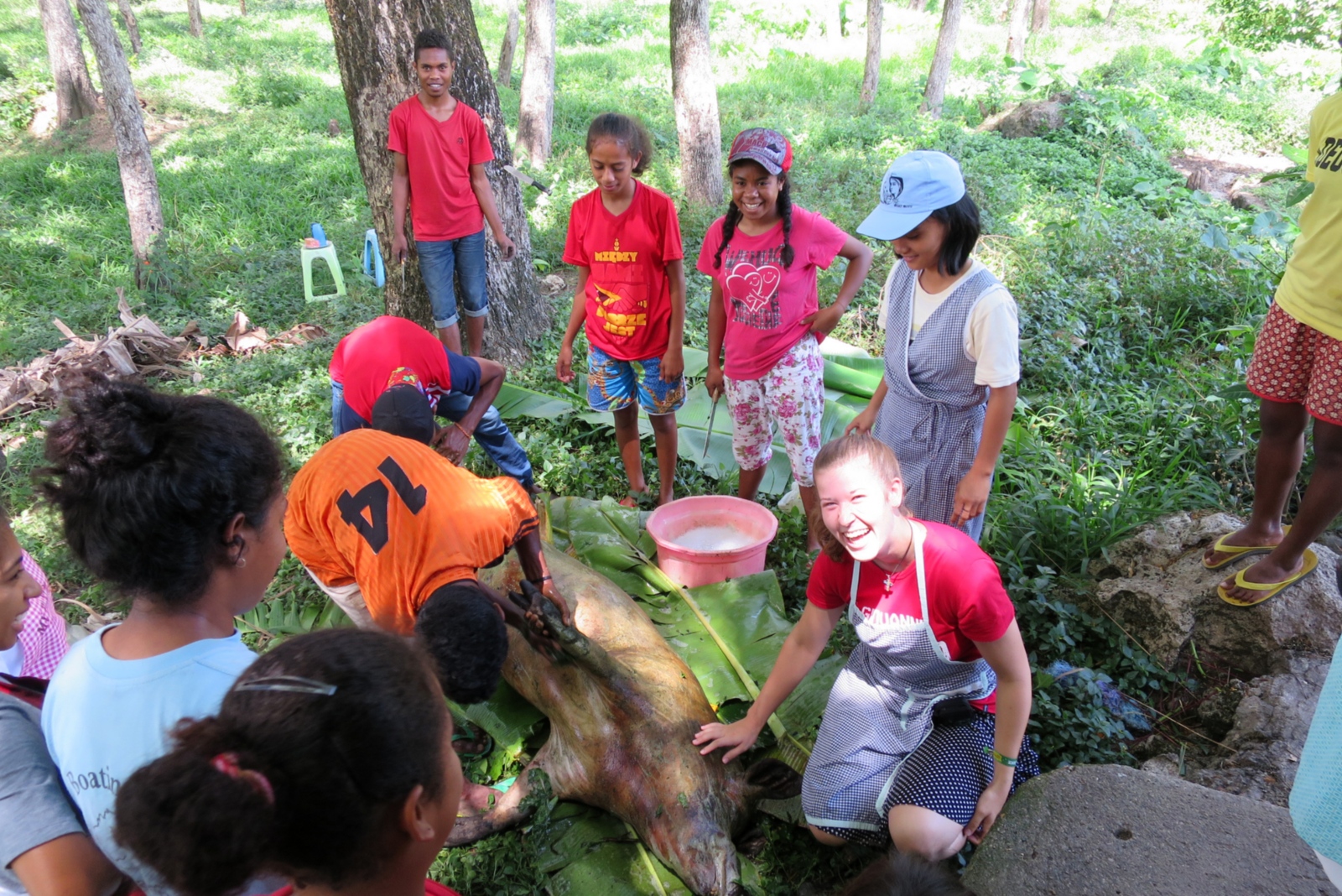 2016-10-28 Klara In Osttimor 09 Schwein